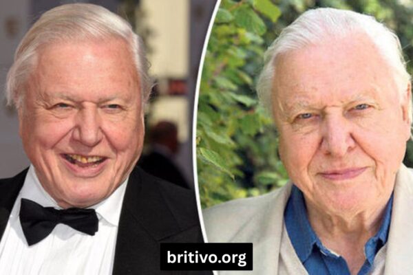john attenborough